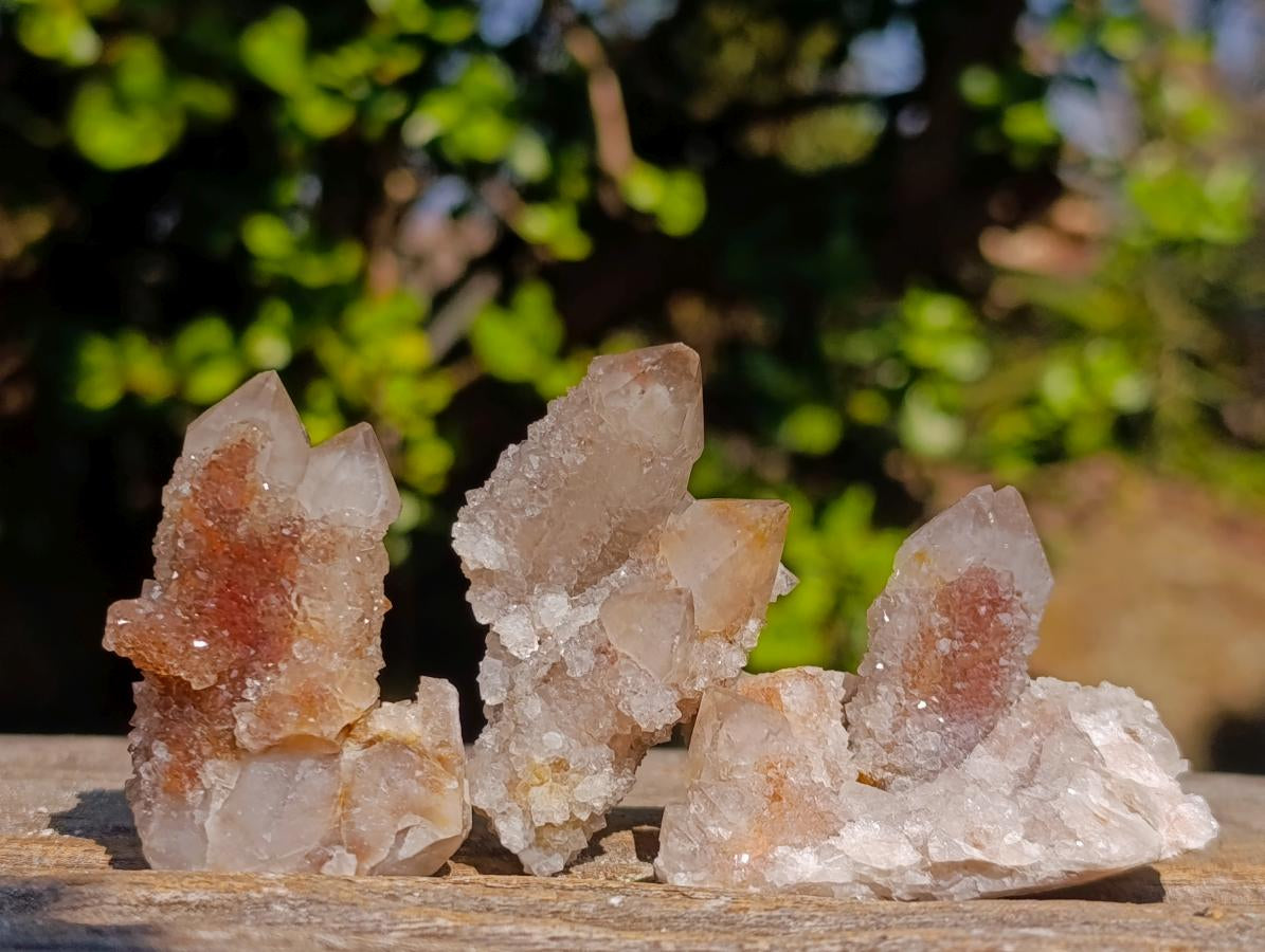 Natural Drusy Fairy Spirit Quartz Crystals and Clusters x 35 From Boekenhouthoek, South Africa - Toprock Gemstones and Minerals 