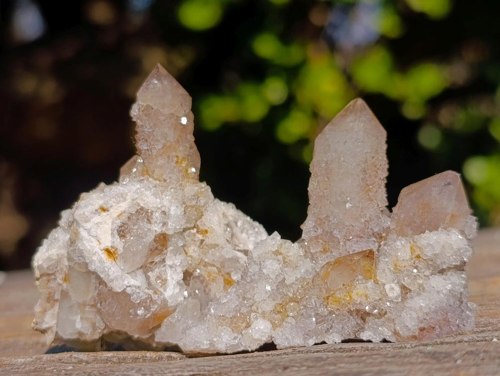 Natural Drusy Fairy Spirit Quartz Crystals and Clusters x 35 From Boekenhouthoek, South Africa - Toprock Gemstones and Minerals 