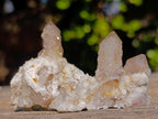 Natural Drusy Fairy Spirit Quartz Crystals and Clusters x 35 From Boekenhouthoek, South Africa - Toprock Gemstones and Minerals 