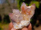 Natural Drusy Fairy Spirit Quartz Crystals and Clusters x 35 From Boekenhouthoek, South Africa - Toprock Gemstones and Minerals 
