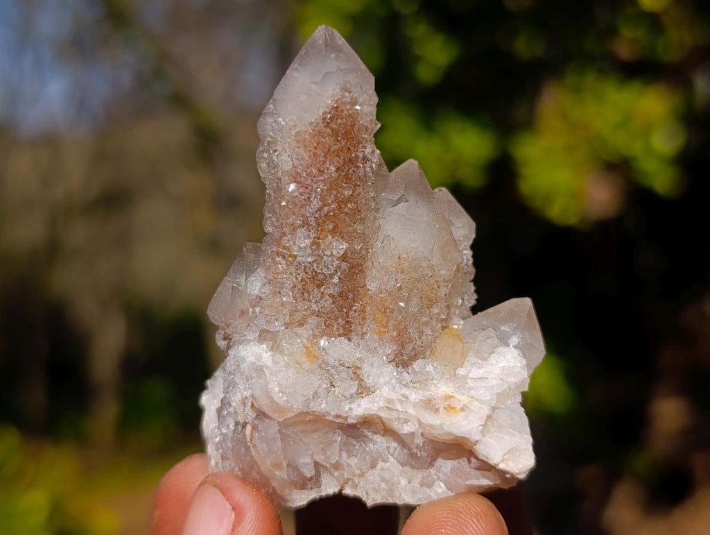 Natural Drusy Fairy Spirit Quartz Crystals and Clusters x 35 From Boekenhouthoek, South Africa - Toprock Gemstones and Minerals 