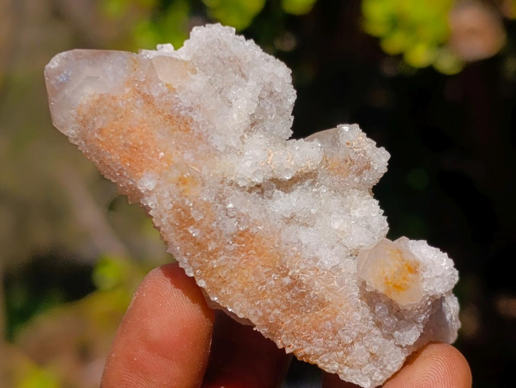 Natural Drusy Fairy Spirit Quartz Crystals and Clusters x 35 From Boekenhouthoek, South Africa - Toprock Gemstones and Minerals 
