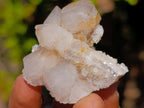 Natural Drusy Fairy Spirit Quartz Crystals and Clusters x 35 From Boekenhouthoek, South Africa - Toprock Gemstones and Minerals 