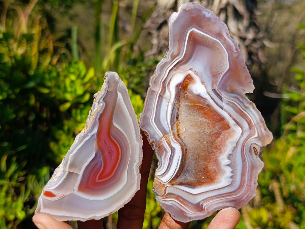 Polished One Side Red Shashe River Agate Slices x 6 From Shashe River, Zimbabwe - Toprock Gemstones and Minerals 