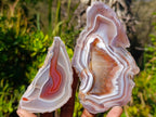 Polished One Side Red Shashe River Agate Slices x 6 From Shashe River, Zimbabwe - Toprock Gemstones and Minerals 