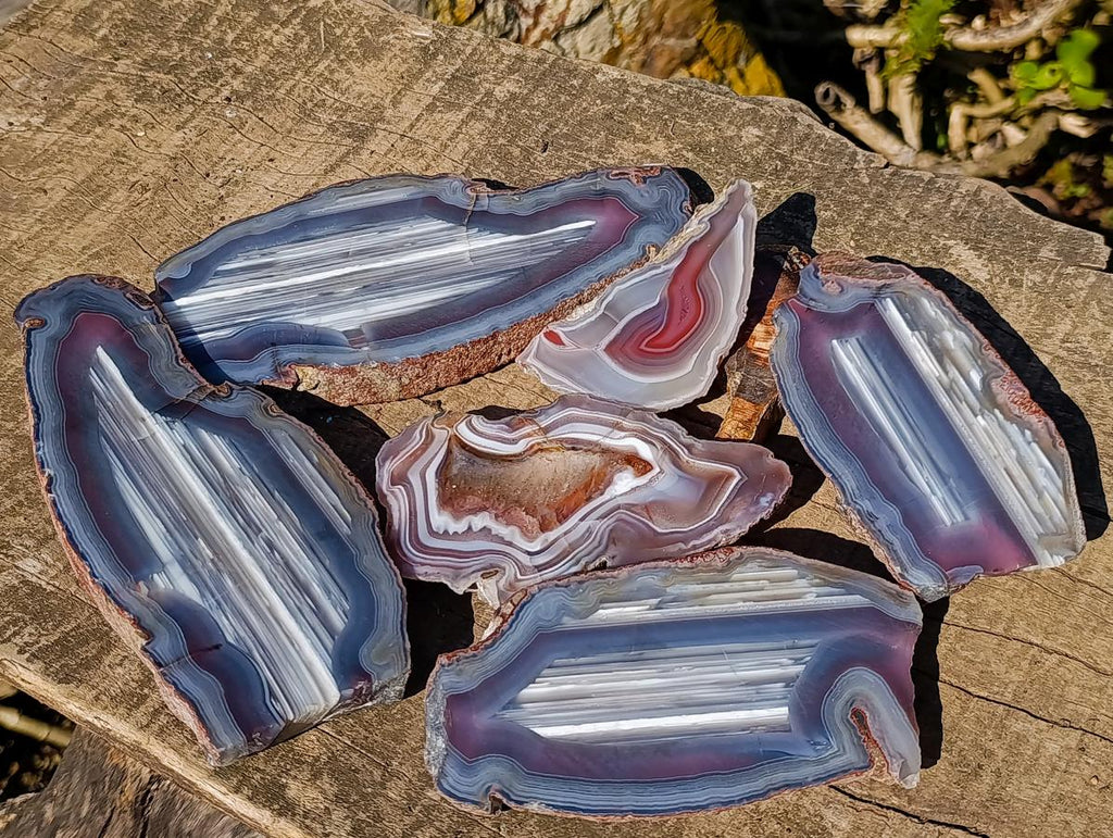 Polished One Side Red Shashe River Agate Slices x 6 From Shashe River, Zimbabwe - Toprock Gemstones and Minerals 
