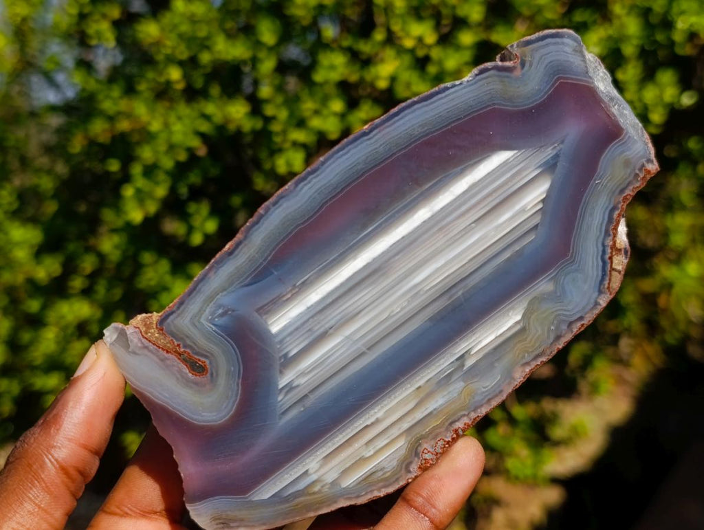 Polished One Side Red Shashe River Agate Slices x 6 From Shashe River, Zimbabwe - Toprock Gemstones and Minerals 