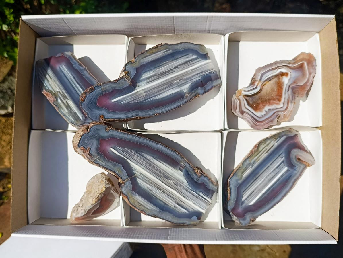 Polished One Side Red Shashe River Agate Slices x 6 From Shashe River, Zimbabwe - Toprock Gemstones and Minerals 