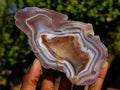 Polished One Side Red Shashe River Agate Slices x 6 From Shashe River, Zimbabwe - Toprock Gemstones and Minerals 