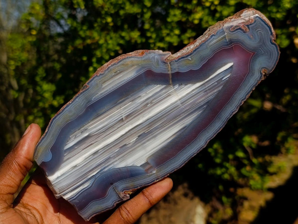 Polished One Side Red Shashe River Agate Slices x 6 From Shashe River, Zimbabwe - Toprock Gemstones and Minerals 