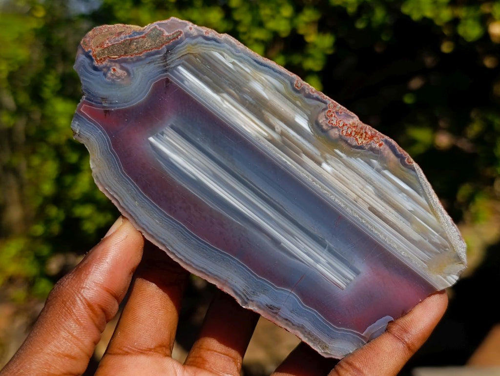 Polished One Side Red Shashe River Agate Slices x 6 From Shashe River, Zimbabwe - Toprock Gemstones and Minerals 