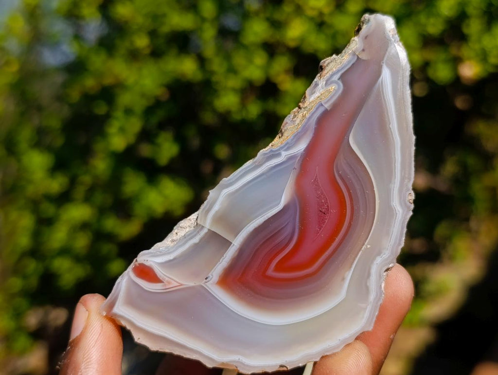 Polished One Side Red Shashe River Agate Slices x 6 From Shashe River, Zimbabwe - Toprock Gemstones and Minerals 