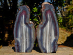 Polished One Side Red Shashe River Agate Slices x 6 From Shashe River, Zimbabwe - Toprock Gemstones and Minerals 