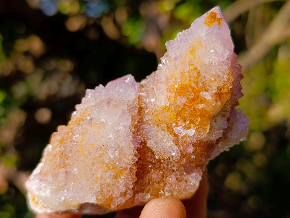 Natural Spirit Amethyst Clusters x 12 From Boekenhouthoek, South Africa - Toprock Gemstones and Minerals 