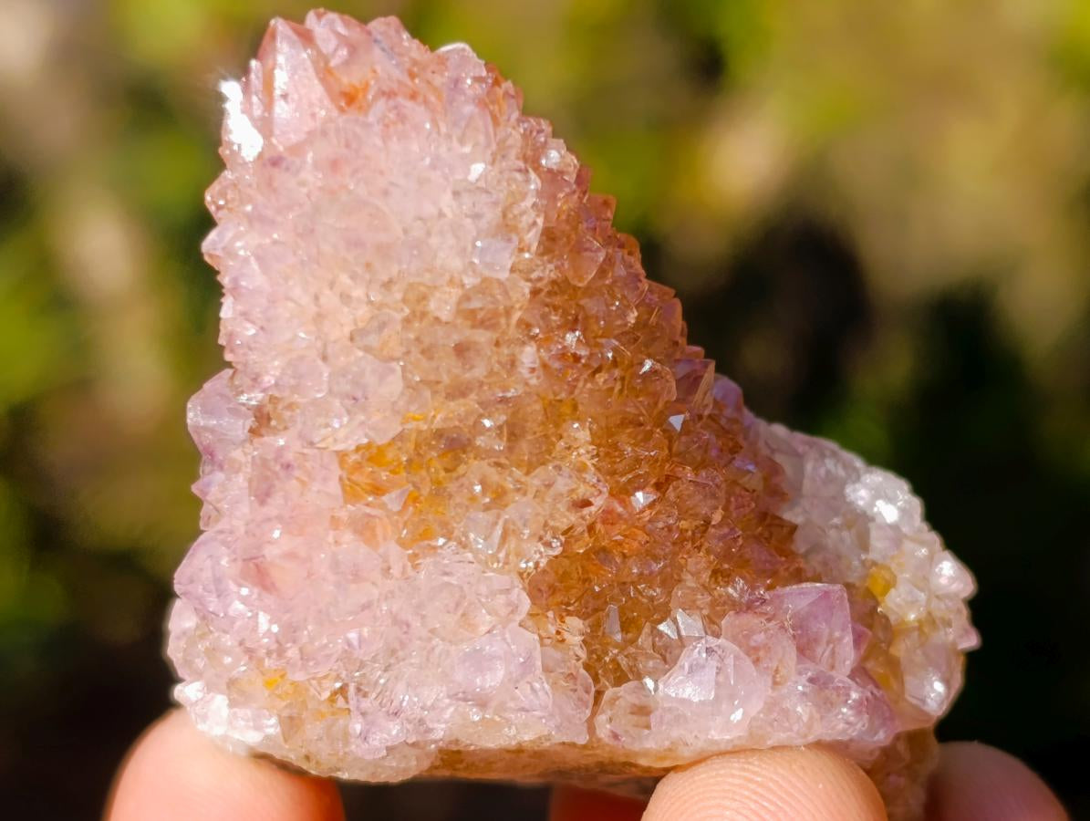 Natural Spirit Amethyst Clusters x 12 From Boekenhouthoek, South Africa - Toprock Gemstones and Minerals 