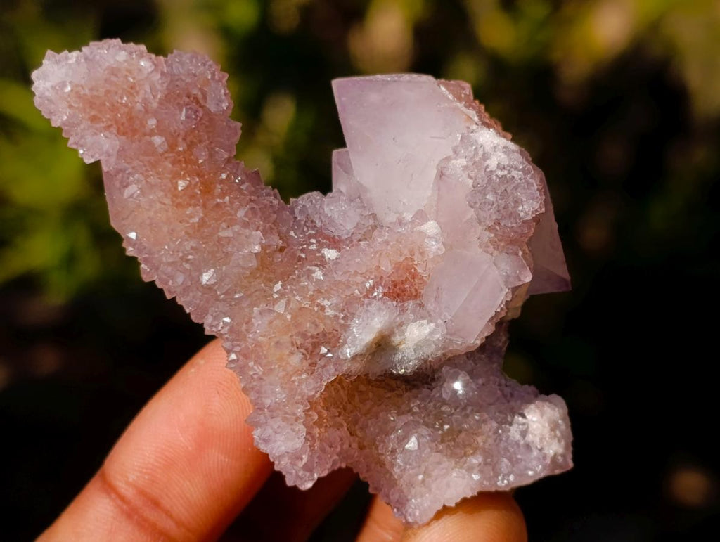 Natural Spirit Amethyst Clusters x 12 From Boekenhouthoek, South Africa - Toprock Gemstones and Minerals 