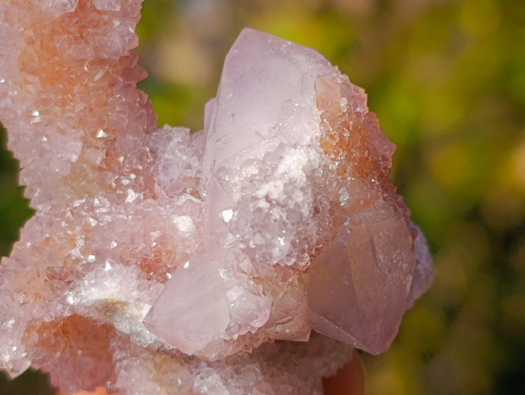 Natural Spirit Amethyst Clusters x 12 From Boekenhouthoek, South Africa - Toprock Gemstones and Minerals 