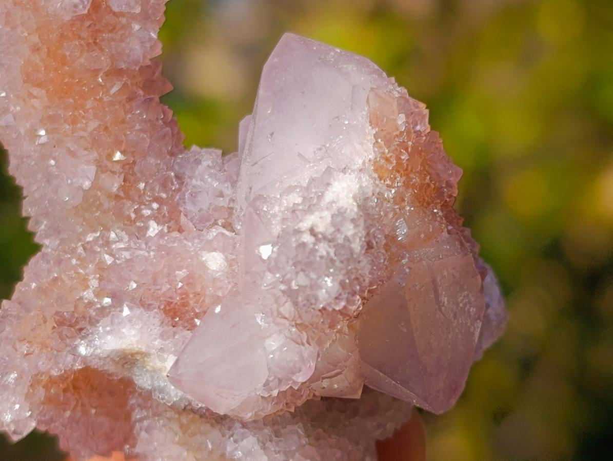 Natural Spirit Amethyst Clusters x 12 From Boekenhouthoek, South Africa - Toprock Gemstones and Minerals 