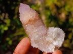 Natural Spirit Amethyst Clusters x 12 From Boekenhouthoek, South Africa - Toprock Gemstones and Minerals 