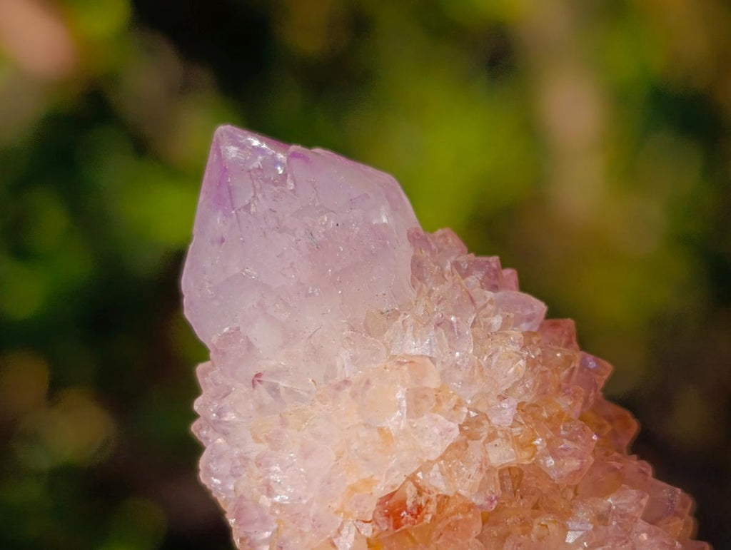 Natural Spirit Amethyst Clusters x 12 From Boekenhouthoek, South Africa - Toprock Gemstones and Minerals 