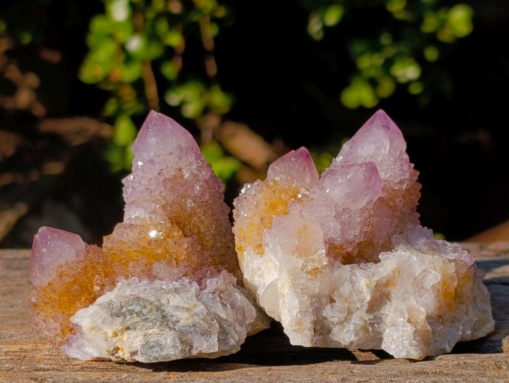 Natural Spirit Amethyst Clusters x 12 From Boekenhouthoek, South Africa - Toprock Gemstones and Minerals 