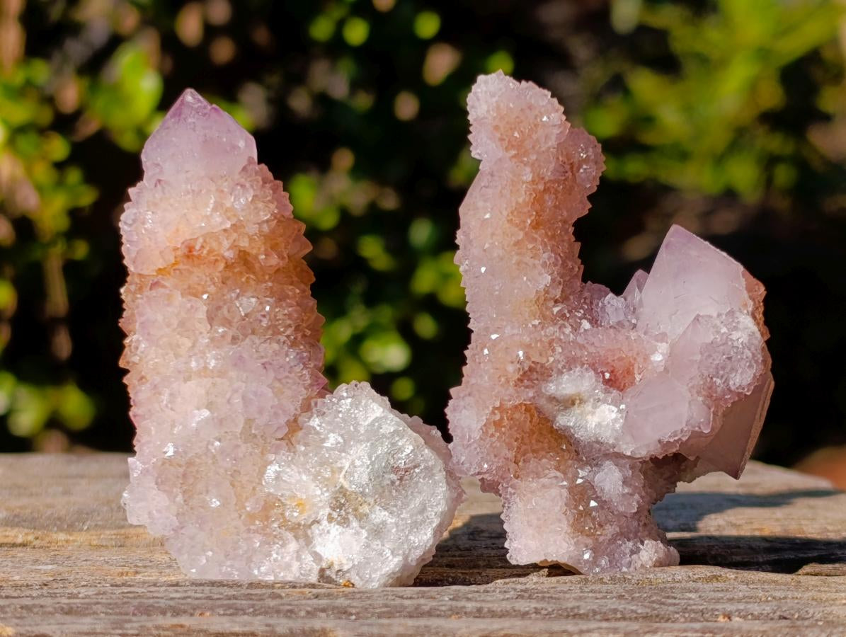 Natural Spirit Amethyst Clusters x 12 From Boekenhouthoek, South Africa - Toprock Gemstones and Minerals 