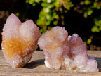Natural Spirit Amethyst Clusters x 12 From Boekenhouthoek, South Africa - Toprock Gemstones and Minerals 