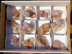 Natural Spirit Amethyst Clusters x 12 From Boekenhouthoek, South Africa - Toprock Gemstones and Minerals 