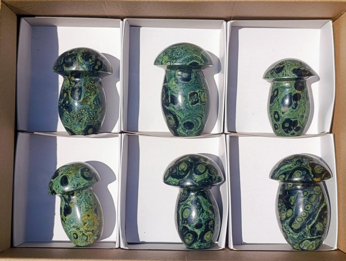 Polished Stromatolite "Kambamba Jasper" Mushrooms x 6 From Katsepy, Madagascar - Toprock Gemstones and Minerals 