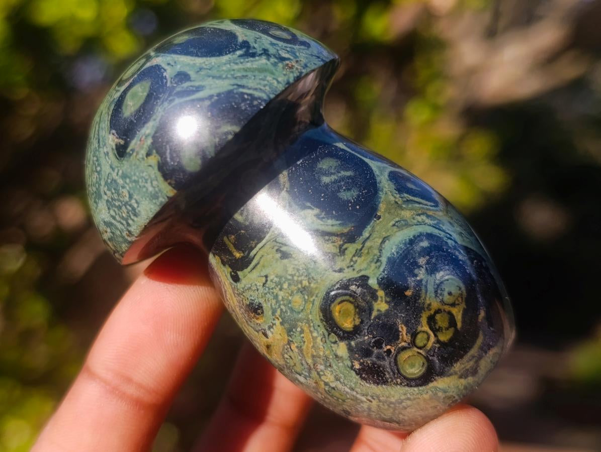 Polished Stromatolite "Kambamba Jasper" Mushrooms x 6 From Katsepy, Madagascar - Toprock Gemstones and Minerals 