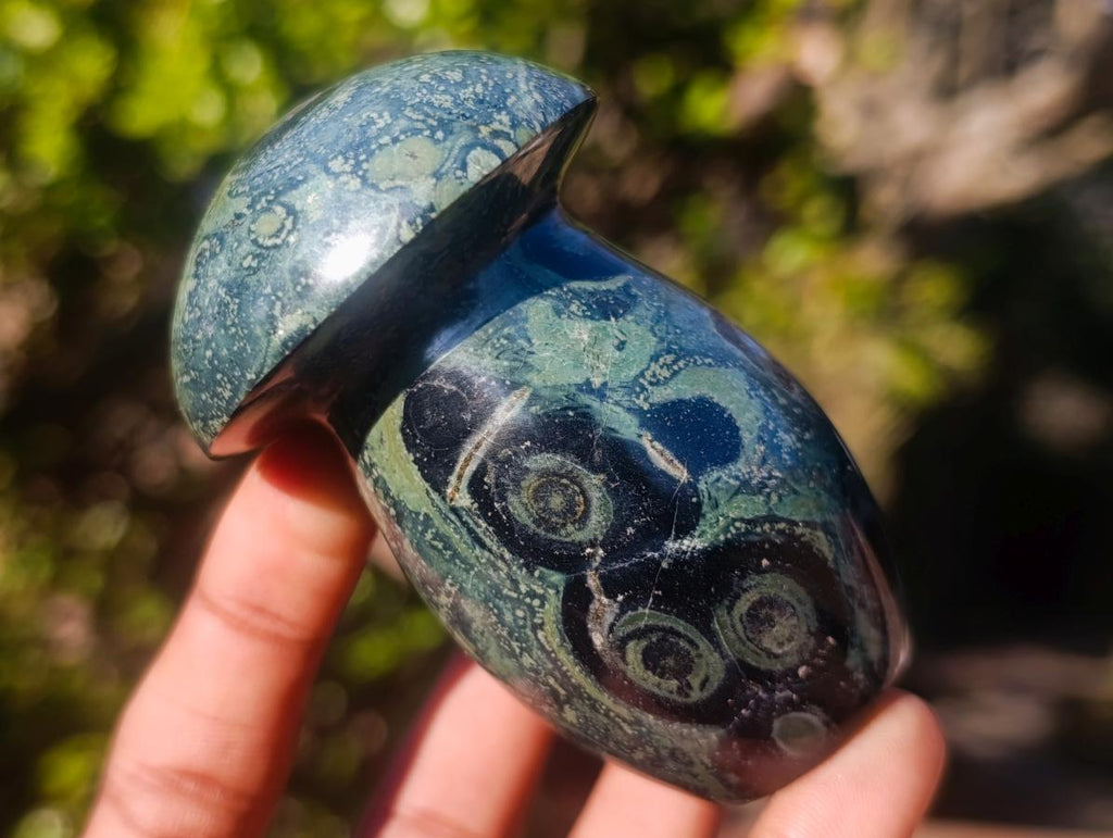 Polished Stromatolite "Kambamba Jasper" Mushrooms x 6 From Katsepy, Madagascar - Toprock Gemstones and Minerals 