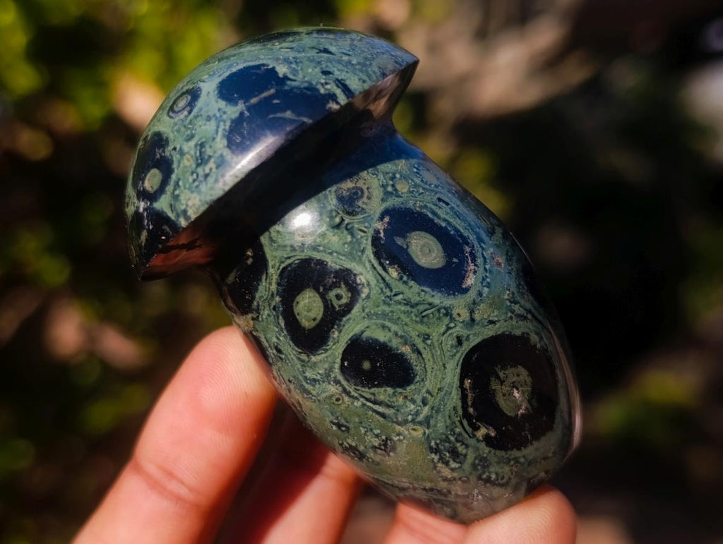 Polished Stromatolite "Kambamba Jasper" Mushrooms x 6 From Katsepy, Madagascar - Toprock Gemstones and Minerals 