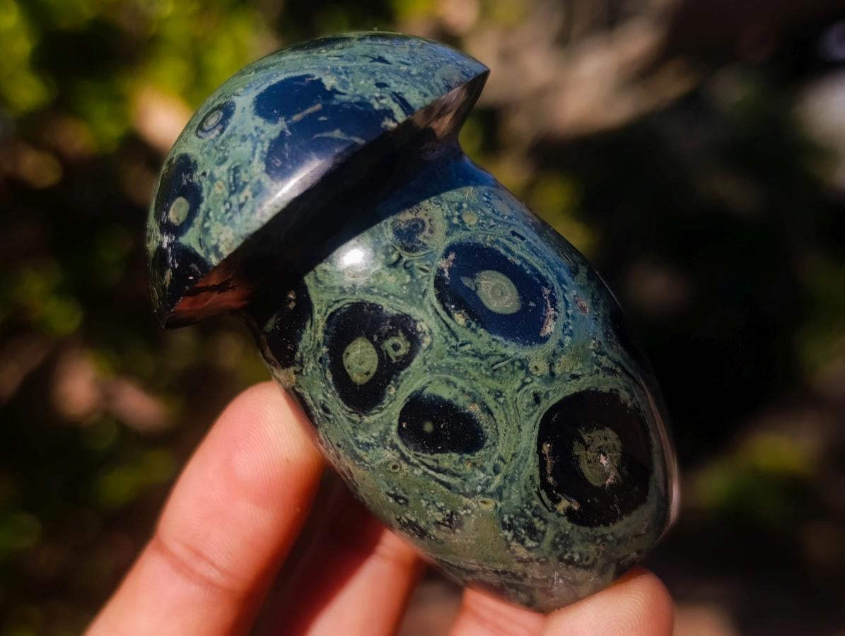 Polished Stromatolite "Kambamba Jasper" Mushrooms x 6 From Katsepy, Madagascar - Toprock Gemstones and Minerals 