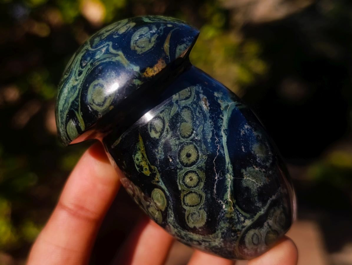 Polished Stromatolite "Kambamba Jasper" Mushrooms x 6 From Katsepy, Madagascar - Toprock Gemstones and Minerals 