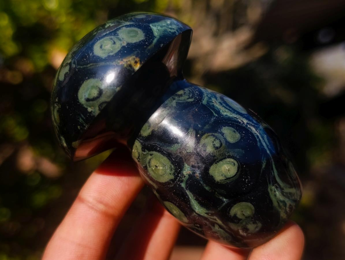 Polished Stromatolite "Kambamba Jasper" Mushrooms x 6 From Katsepy, Madagascar - Toprock Gemstones and Minerals 