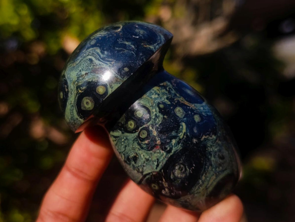 Polished Stromatolite "Kambamba Jasper" Mushrooms x 6 From Katsepy, Madagascar - Toprock Gemstones and Minerals 