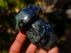 Polished Stromatolite "Kambamba Jasper" Mushrooms x 6 From Katsepy, Madagascar - Toprock Gemstones and Minerals 