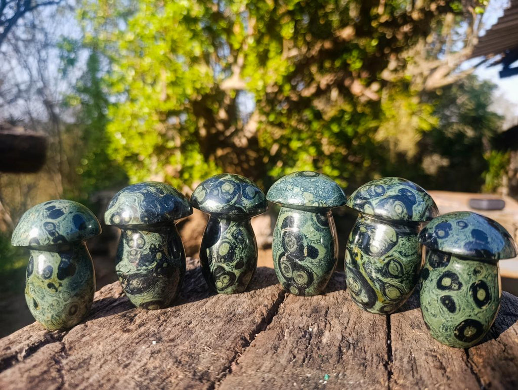 Polished Stromatolite "Kambamba Jasper" Mushrooms x 6 From Katsepy, Madagascar - Toprock Gemstones and Minerals 