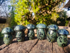 Polished Stromatolite "Kambamba Jasper" Mushrooms x 6 From Katsepy, Madagascar - Toprock Gemstones and Minerals 