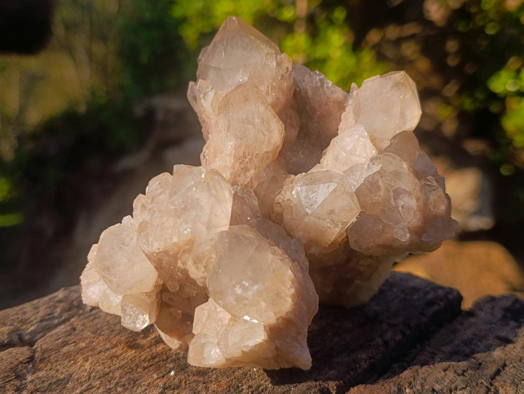 Natural Cascading White Phantom Smokey Luena Quartz Clusters x 6 From Luena, Congo - Toprock Gemstones and Minerals 