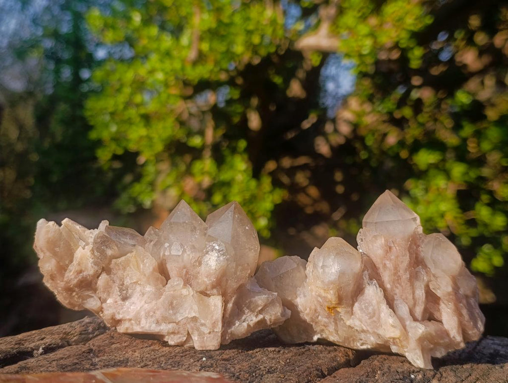 Natural Cascading White Phantom Smokey Luena Quartz Clusters x 6 From Luena, Congo - Toprock Gemstones and Minerals 