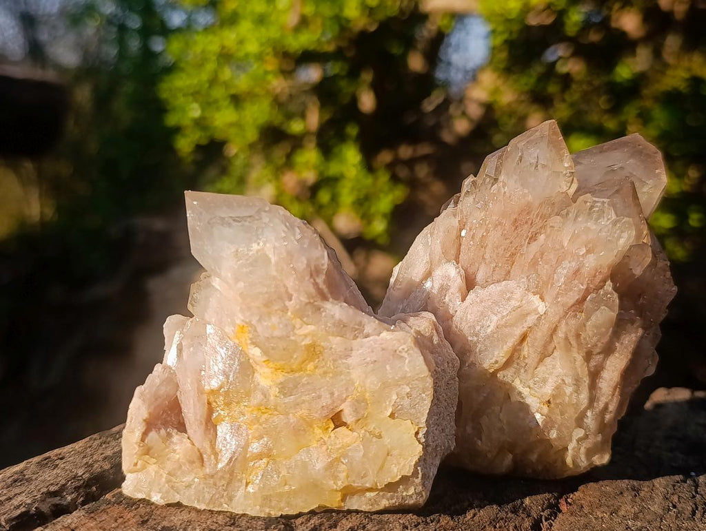 Natural Cascading White Phantom Smokey Luena Quartz Clusters x 6 From Luena, Congo - Toprock Gemstones and Minerals 