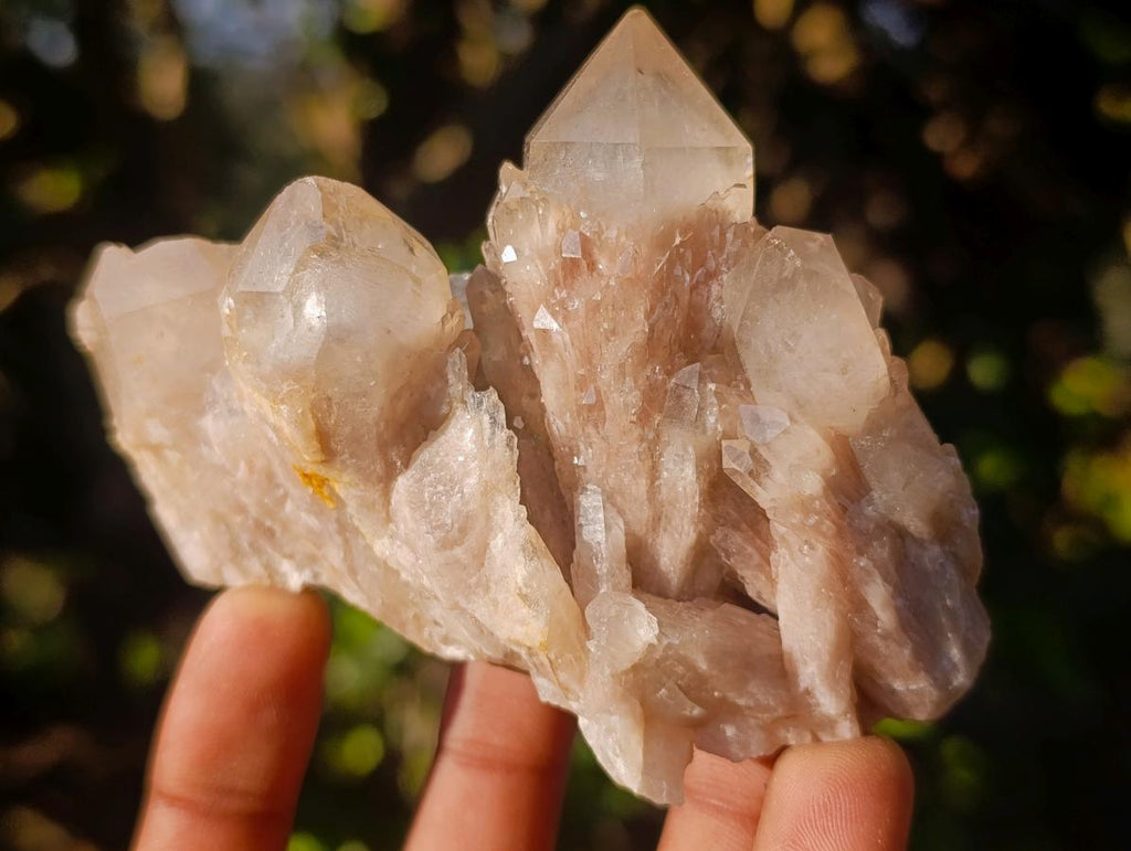 Natural Cascading White Phantom Smokey Luena Quartz Clusters x 6 From Luena, Congo - Toprock Gemstones and Minerals 