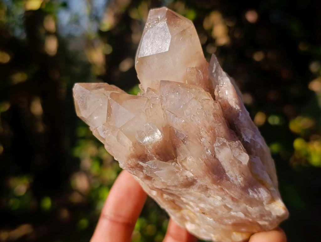 Natural Cascading White Phantom Smokey Luena Quartz Clusters x 6 From Luena, Congo - Toprock Gemstones and Minerals 