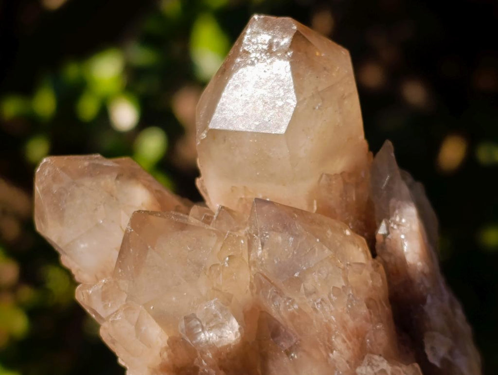 Natural Cascading White Phantom Smokey Luena Quartz Clusters x 6 From Luena, Congo - Toprock Gemstones and Minerals 