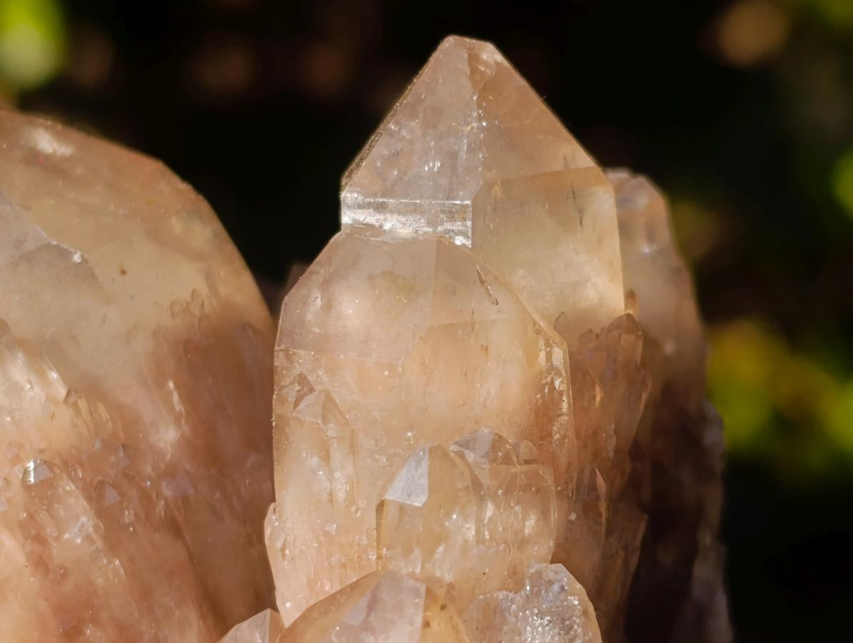 Natural Cascading White Phantom Smokey Luena Quartz Clusters x 6 From Luena, Congo - Toprock Gemstones and Minerals 