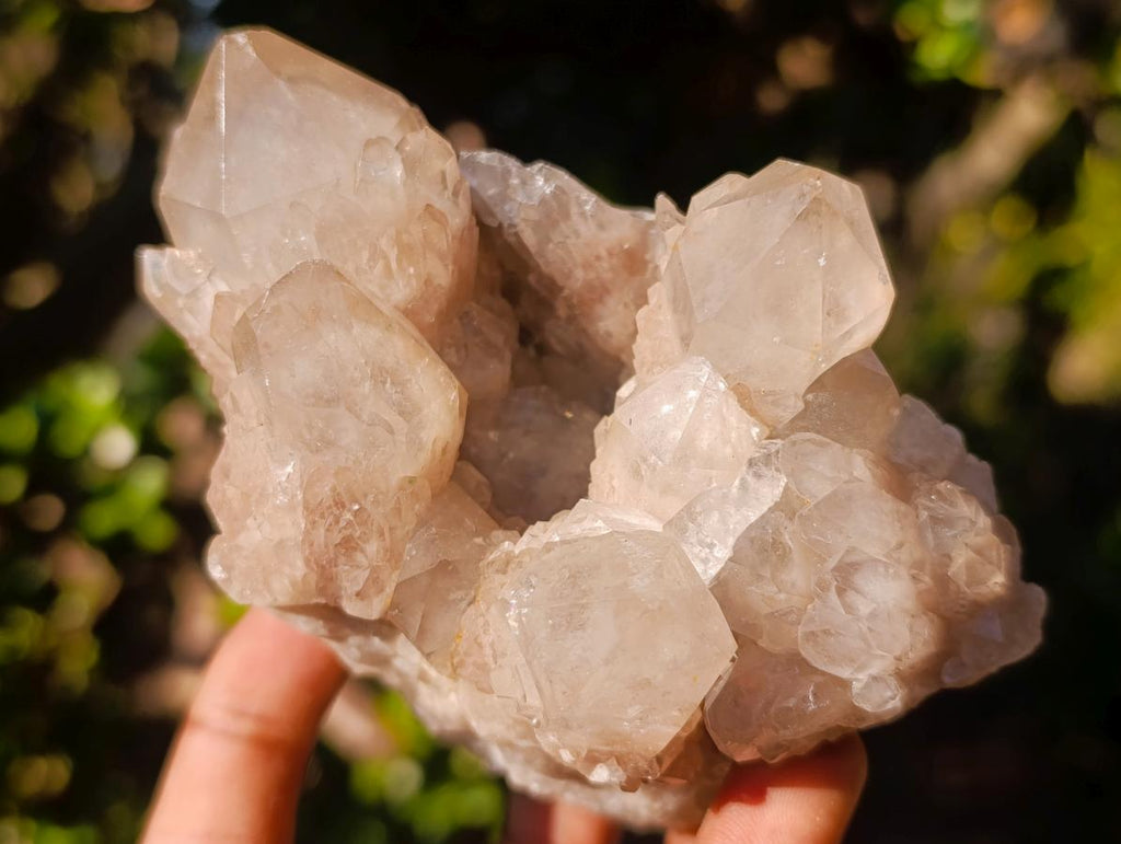 Natural Cascading White Phantom Smokey Luena Quartz Clusters x 6 From Luena, Congo - Toprock Gemstones and Minerals 