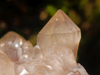 Natural Cascading White Phantom Smokey Luena Quartz Clusters x 6 From Luena, Congo - Toprock Gemstones and Minerals 