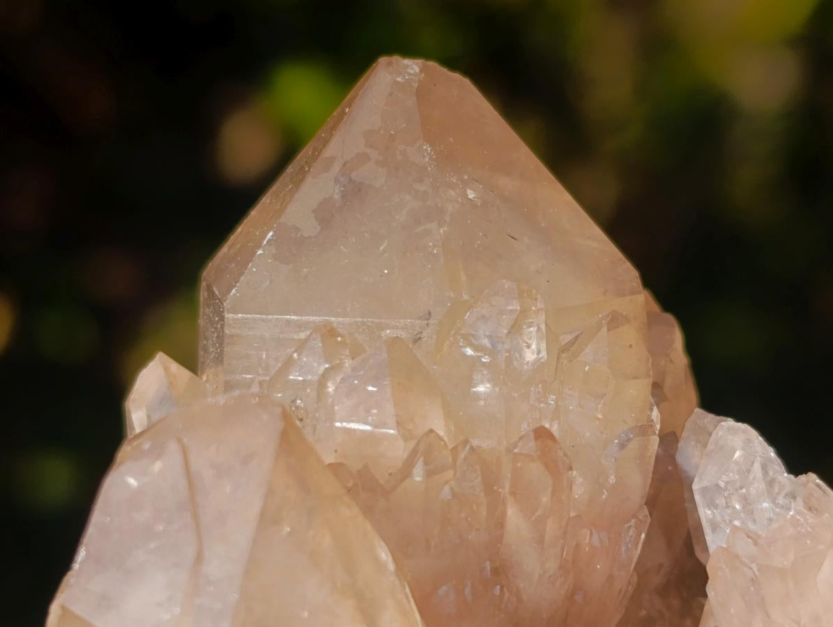 Natural Cascading White Phantom Smokey Luena Quartz Clusters x 6 From Luena, Congo - Toprock Gemstones and Minerals 