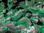 Natural Silky Malachite Specimens x 2 From Kasompe, Congo - Toprock Gemstones and Minerals 
